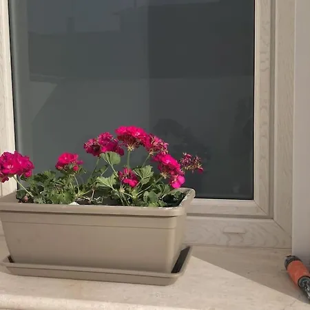 Casa Mosaico Iun R9770 Appartement
